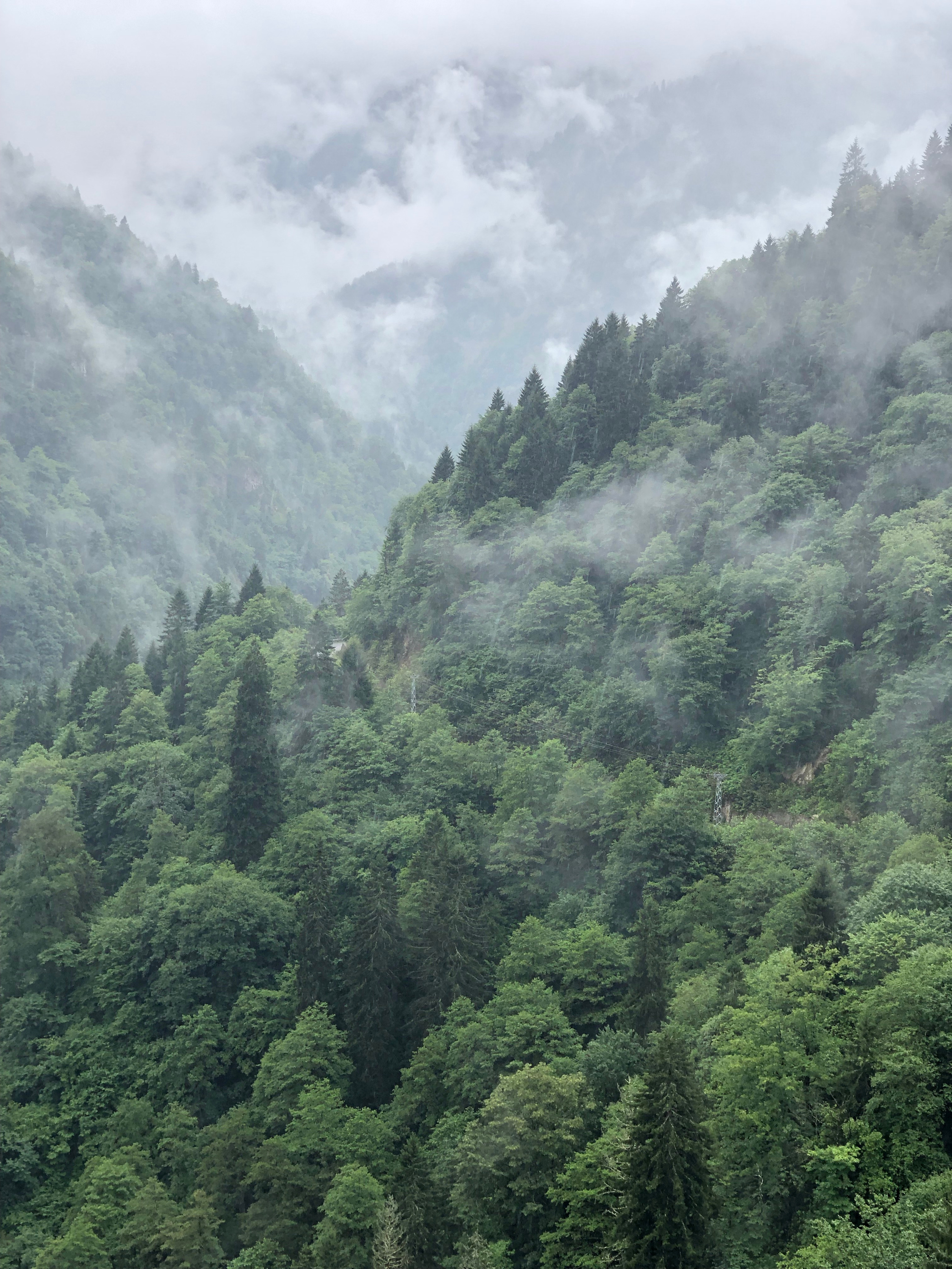 Foggy Mountain